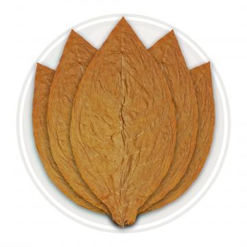 Connecticut Shade Cigar Wrapper Tobacco Leaf